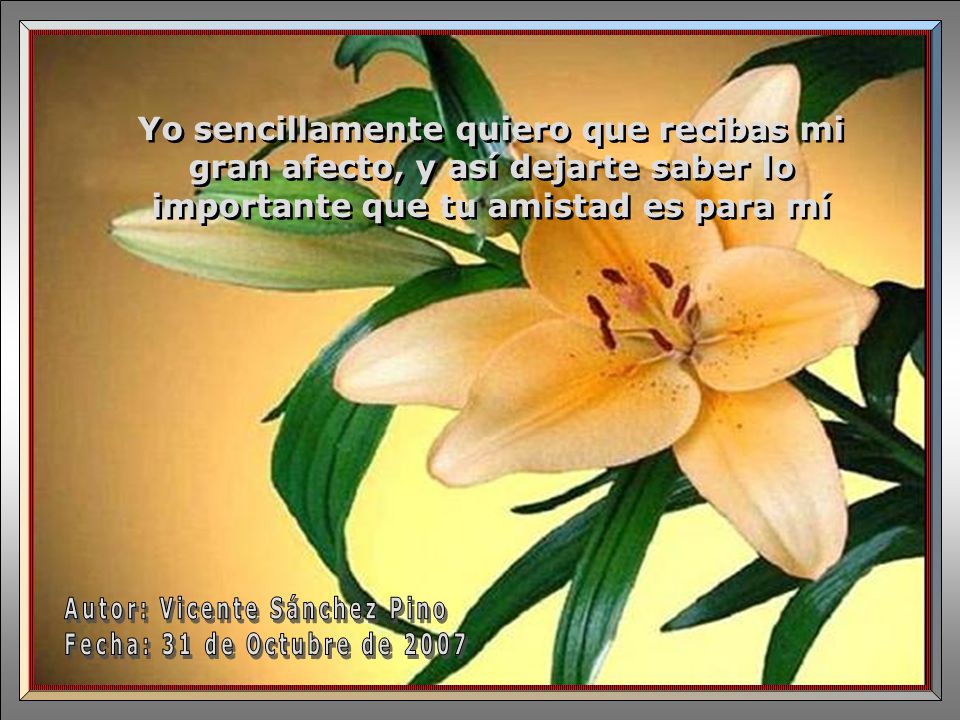 Yo sencillamente quiero que recibas mi gran afecto, y así dejarte saber lo importante que tu amistad es para mí