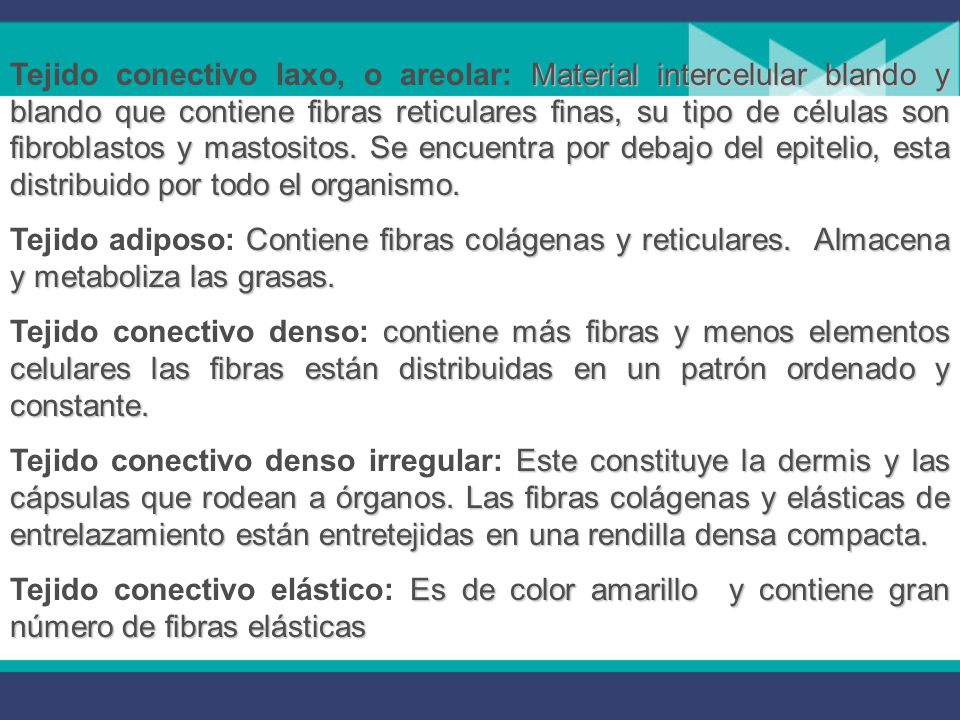 Tejido conectivo laxo, o areolar: Material intercelular blando y blando que contiene fibras reticulares finas, su tipo de células son fibroblastos y mastositos. Se encuentra por debajo del epitelio, esta distribuido por todo el organismo.