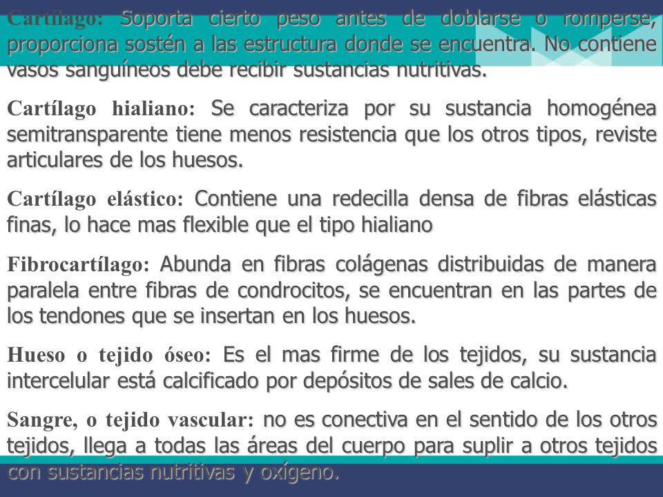 Cartílago: Soporta cierto peso antes de doblarse o romperse, proporciona sostén a las estructura donde se encuentra. No contiene vasos sanguíneos debe recibir sustancias nutritivas.