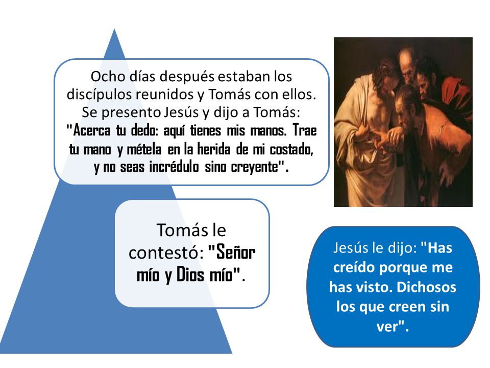 Tomás le contestó: Señor mío y Dios mío .