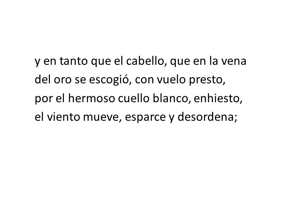 y en tanto que el cabello, que en la vena del oro se escogió, con vuelo presto, por el hermoso cuello blanco, enhiesto, el viento mueve, esparce y desordena;