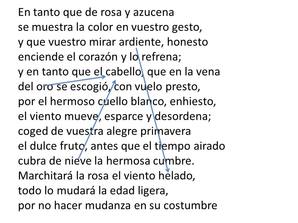 En tanto que de rosa y azucena se muestra la color en vuestro gesto, y que vuestro mirar ardiente, honesto enciende el corazón y lo refrena; y en tanto que el cabello, que en la vena del oro se escogió, con vuelo presto, por el hermoso cuello blanco, enhiesto, el viento mueve, esparce y desordena; coged de vuestra alegre primavera el dulce fruto, antes que el tiempo airado cubra de nieve la hermosa cumbre.