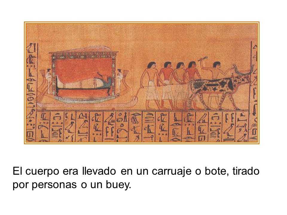 El cuerpo era llevado en un carruaje o bote, tirado por personas o un buey.