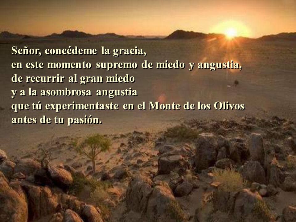 Señor, concédeme la gracia, en este momento supremo de miedo y angustia, de recurrir al gran miedo y a la asombrosa angustia que tú experimentaste en el Monte de los Olivos antes de tu pasión.