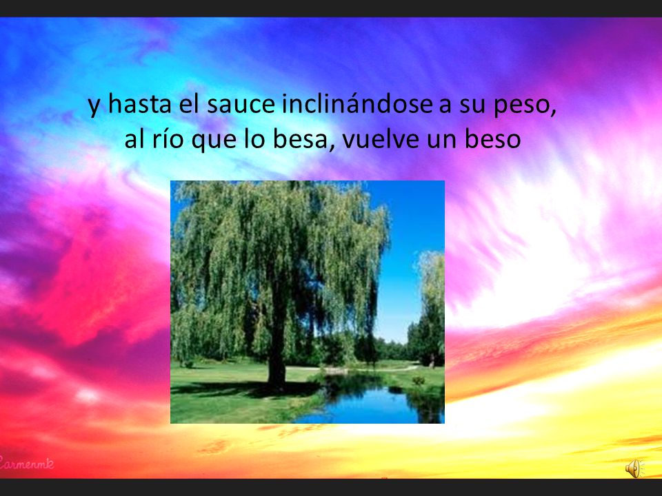 y hasta el sauce inclinándose a su peso, al río que lo besa, vuelve un beso