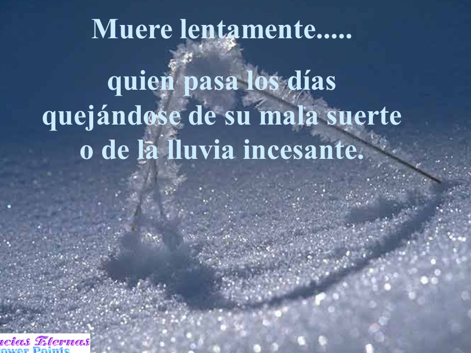Muere lentamente..... quien pasa los días quejándose de su mala suerte o de la lluvia incesante.