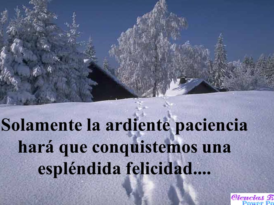 Solamente la ardiente paciencia hará que conquistemos una espléndida felicidad....