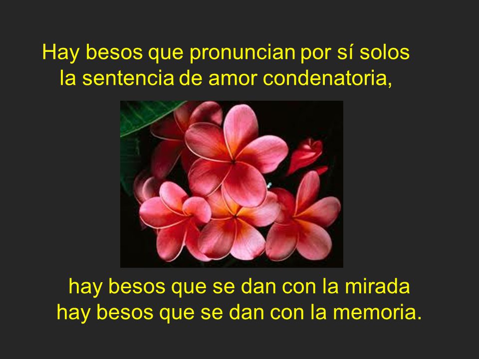 Hay besos que pronuncian por sí solos la sentencia de amor condenatoria,