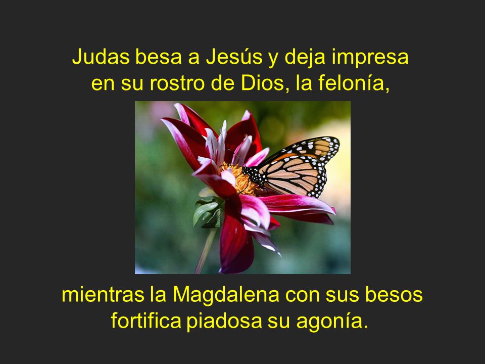 Judas besa a Jesús y deja impresa en su rostro de Dios, la felonía,