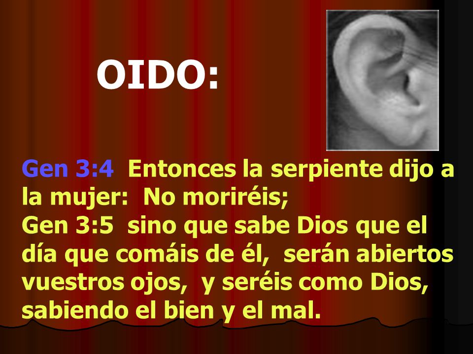 OIDO: Gen 3:4 Entonces la serpiente dijo a la mujer: No moriréis;