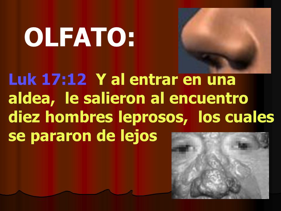 OLFATO: Luk 17:12 Y al entrar en una aldea, le salieron al encuentro diez hombres leprosos, los cuales se pararon de lejos.