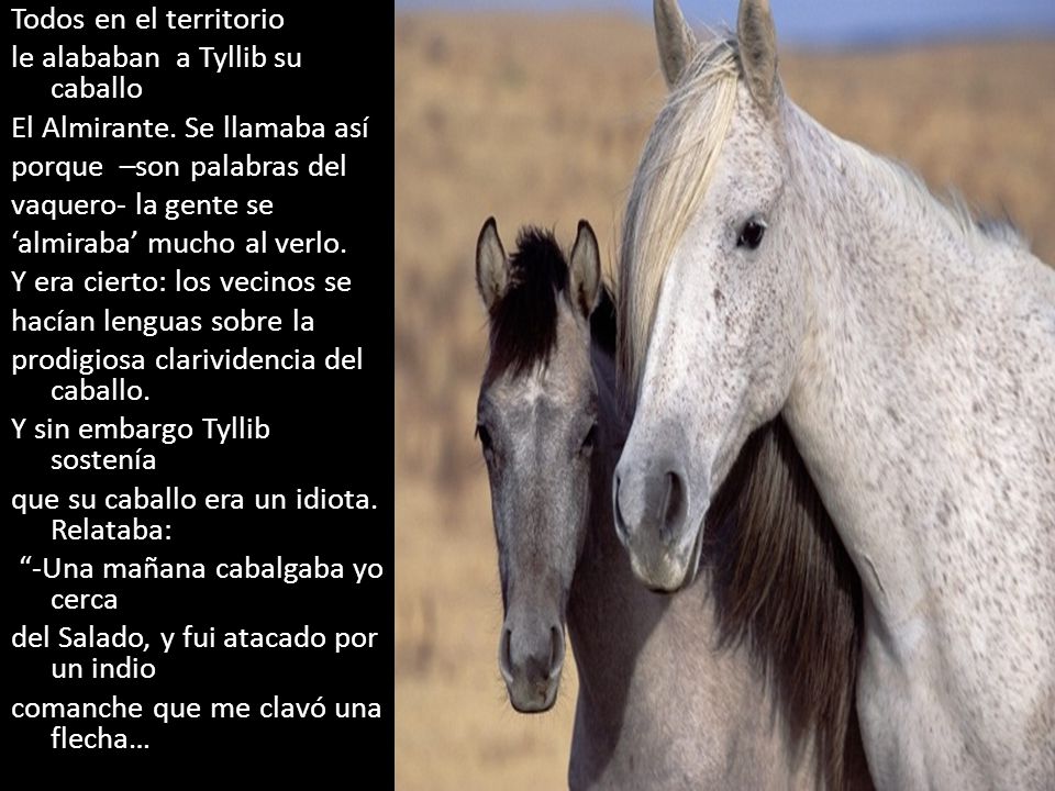 Todos en el territorio le alababan a Tyllib su caballo El Almirante