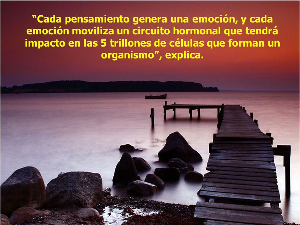 Cada pensamiento genera una emoción, y cada emoción moviliza un circuito hormonal que tendrá impacto en las 5 trillones de células que forman un organismo , explica.