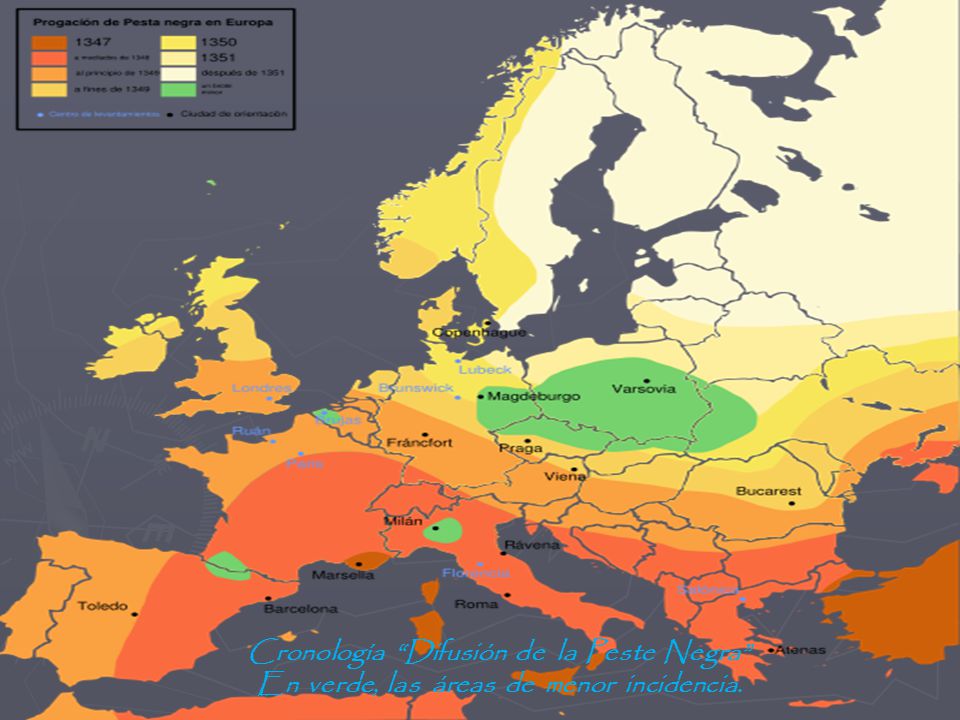 Чума карта. Чума 14 века в Европе карта. Карта распространения чумы. Распространение чумы в Европе. Карта распространения чумы в Европе.