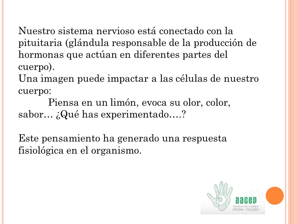 Nuestro sistema nervioso está conectado con la pituitaria (glándula responsable de la producción de hormonas que actúan en diferentes partes del cuerpo).
