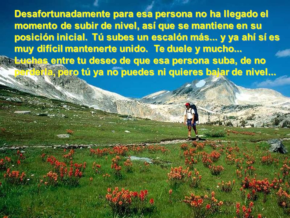 Desafortunadamente para esa persona no ha llegado el momento de subir de nivel, así que se mantiene en su posición inicial. Tú subes un escalón más... y ya ahí sí es muy difícil mantenerte unido. Te duele y mucho... Luchas entre tu deseo de que esa persona suba, de no perderla, pero tú ya no puedes ni quieres bajar de nivel...