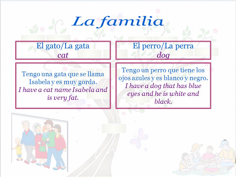 La familia El gato/La gata cat El perro/La perra dog
