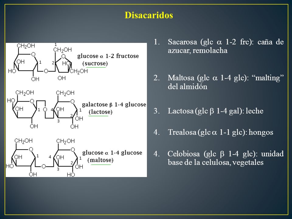 Disacaridos Sacarosa (glc  1-2 frc): caña de azucar, remolacha