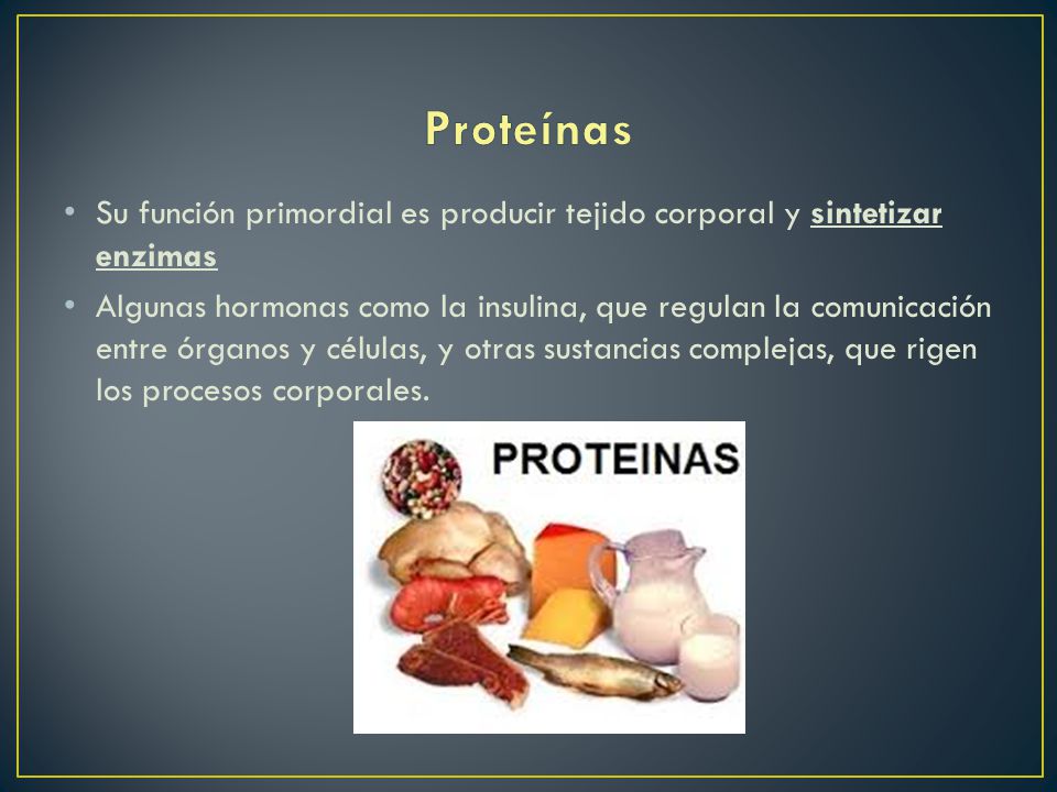 Proteínas Su función primordial es producir tejido corporal y sintetizar enzimas.