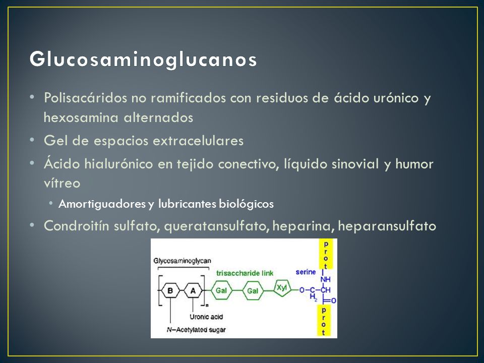 Glucosaminoglucanos Polisacáridos no ramificados con residuos de ácido urónico y hexosamina alternados.