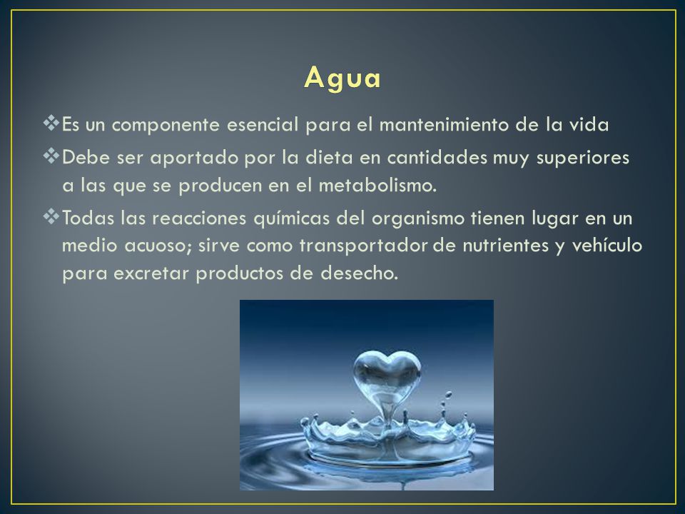 Agua Es un componente esencial para el mantenimiento de la vida