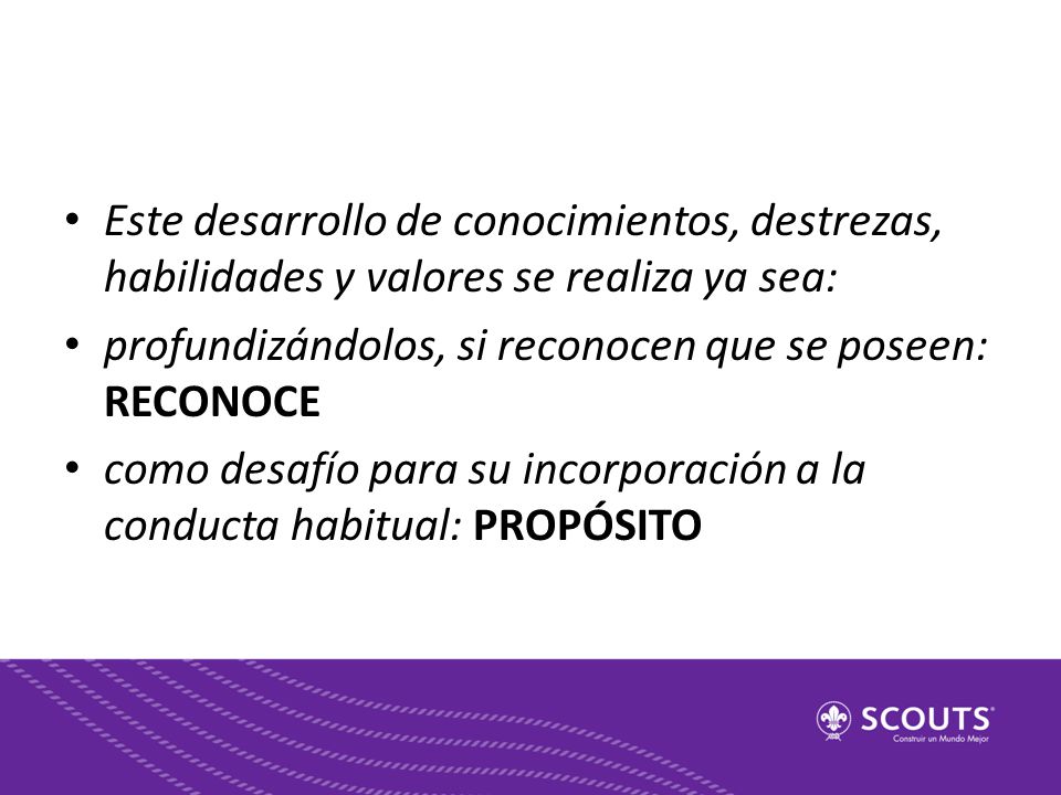 Este desarrollo de conocimientos, destrezas, habilidades y valores se realiza ya sea: