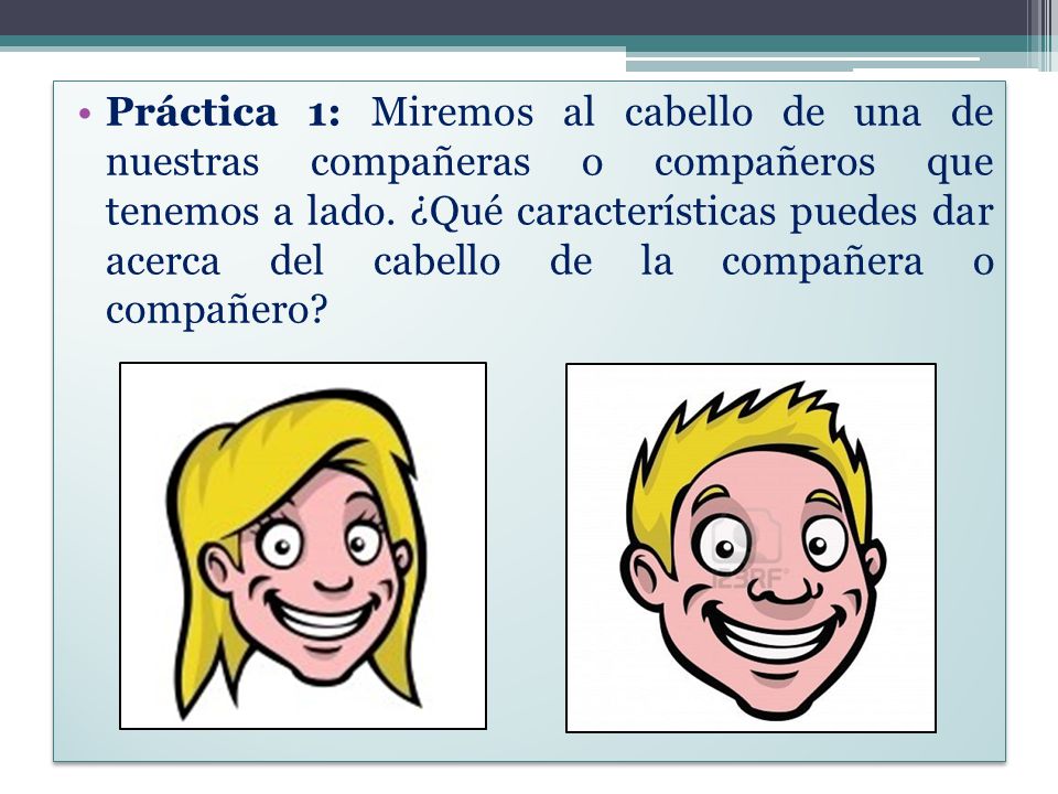 Práctica 1: Miremos al cabello de una de nuestras compañeras o compañeros que tenemos a lado.