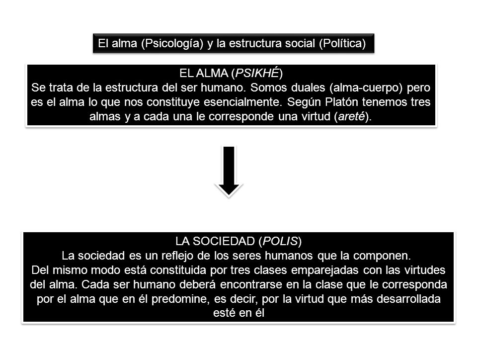 La sociedad es un reflejo de los seres humanos que la componen.