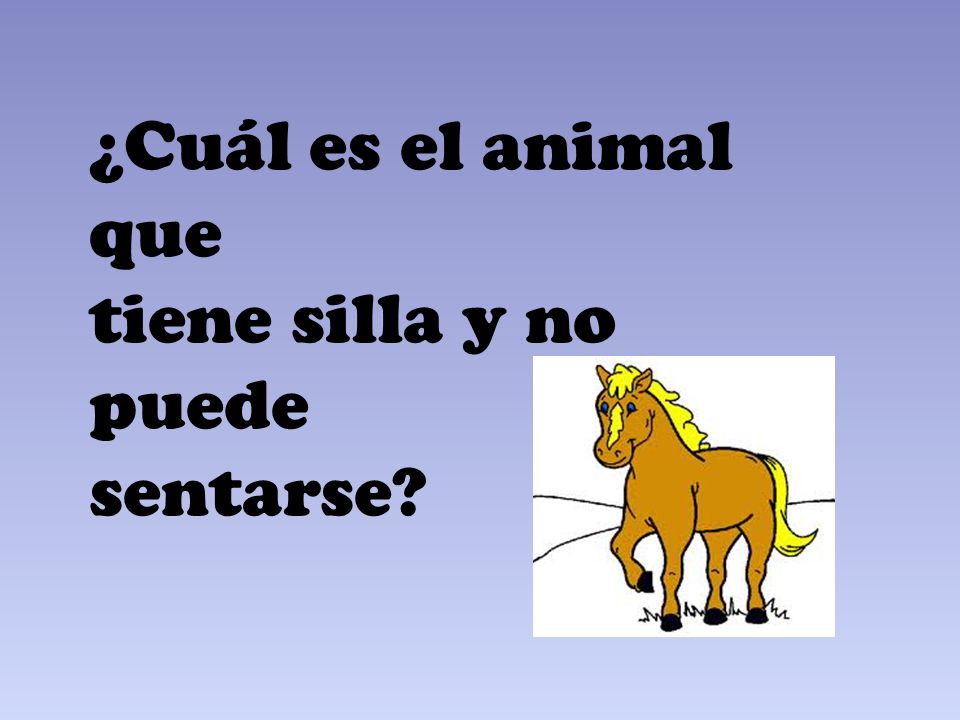 ¿Cuál es el animal que tiene silla y no puede sentarse