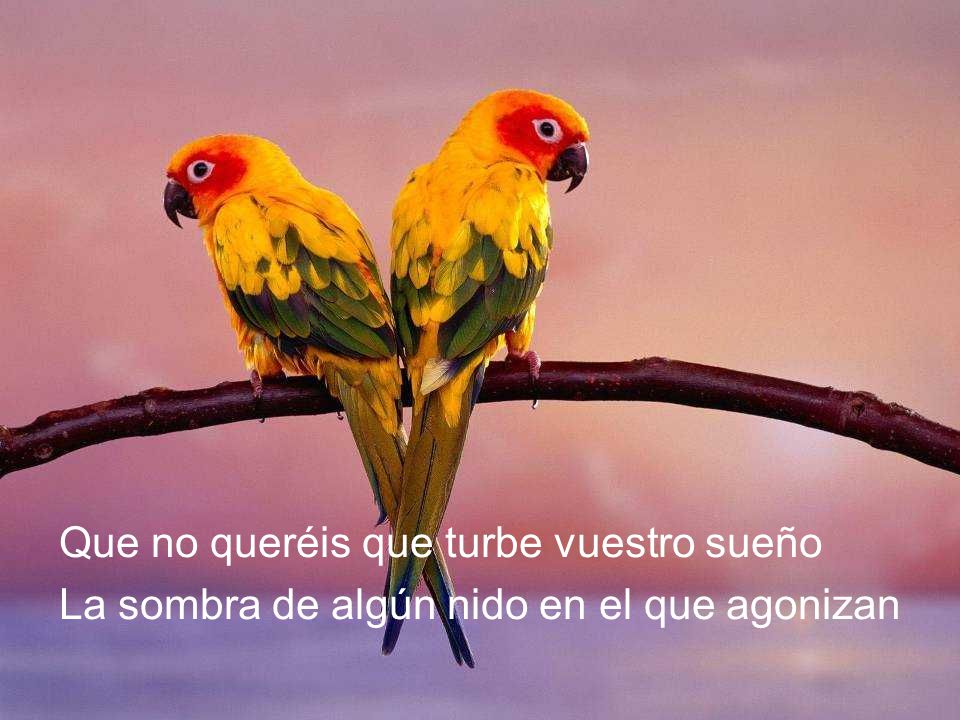 Que no queréis que turbe vuestro sueño