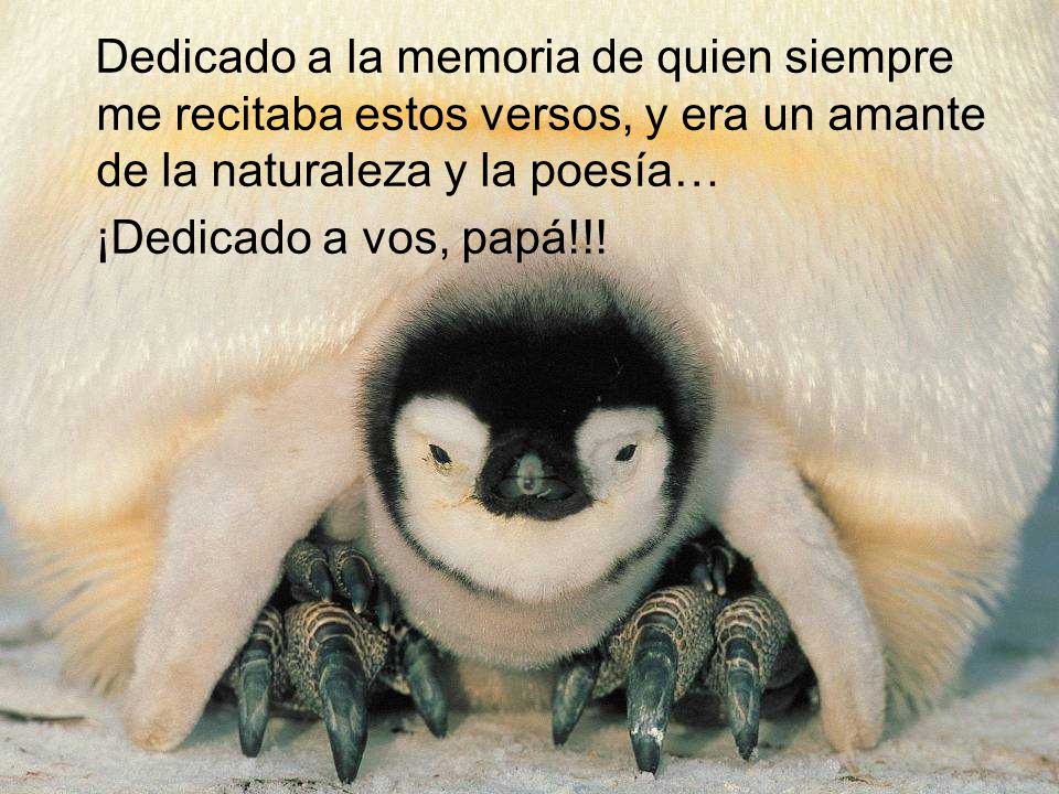 Dedicado a la memoria de quien siempre me recitaba estos versos, y era un amante de la naturaleza y la poesía…
