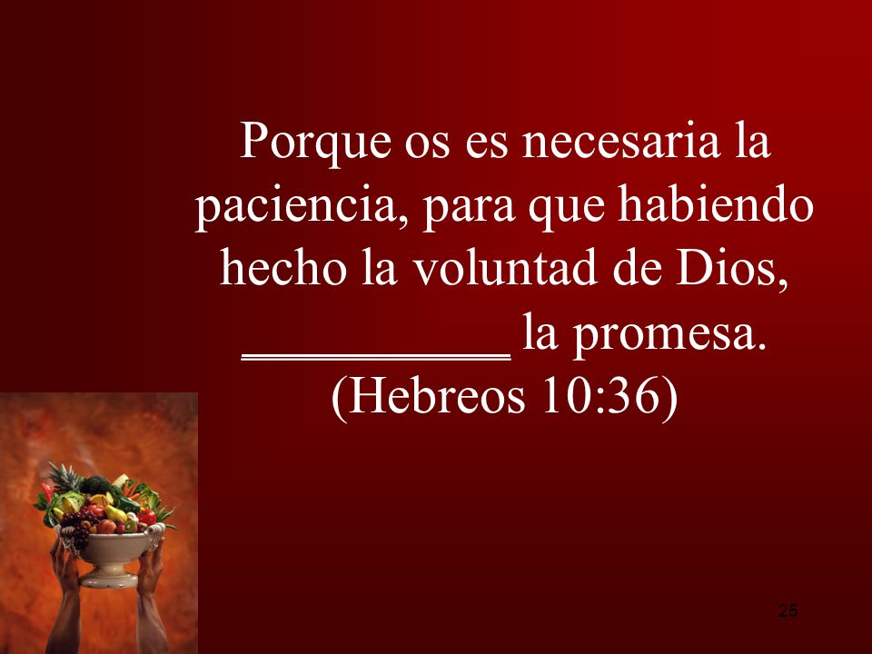 Porque os es necesaria la paciencia, para que habiendo hecho la voluntad de Dios, __________ la promesa.