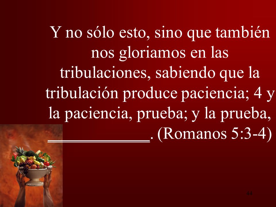 Y no sólo esto, sino que también nos gloriamos en las tribulaciones, sabiendo que la tribulación produce paciencia; 4 y la paciencia, prueba; y la prueba, ____________.