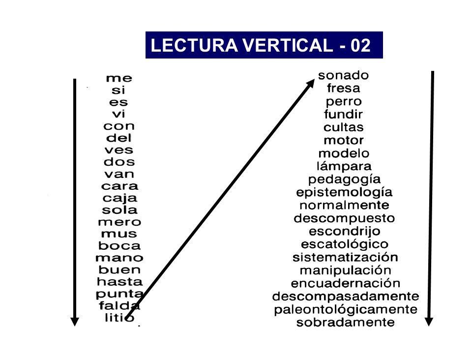 LECTURA VERTICAL - 02