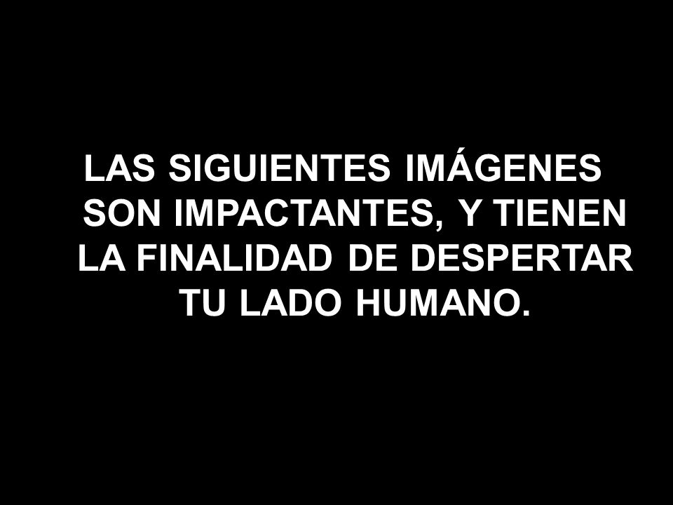 LAS SIGUIENTES IMÁGENES SON IMPACTANTES, Y TIENEN LA FINALIDAD DE DESPERTAR TU LADO HUMANO.