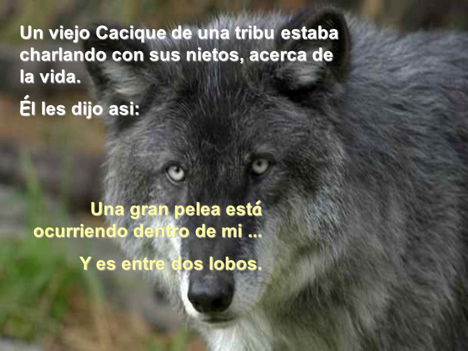Un viejo Cacique de una tribu estaba charlando con sus nietos, acerca de la vida.