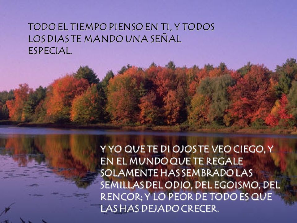 TODO EL TIEMPO PIENSO EN TI, Y TODOS LOS DIAS TE MANDO UNA SEÑAL ESPECIAL.
