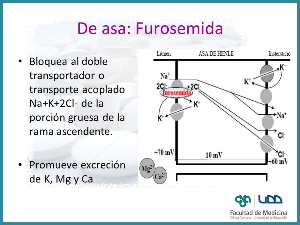 De asa: Furosemida Bloquea al doble transportador o transporte acoplado Na+K+2Cl- de la porción gruesa de la rama ascendente.