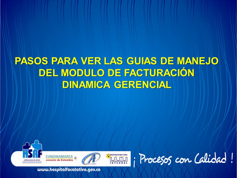 PASOS PARA VER LAS GUIAS DE MANEJO DEL MODULO DE FACTURACIÓN DINAMICA GERENCIAL