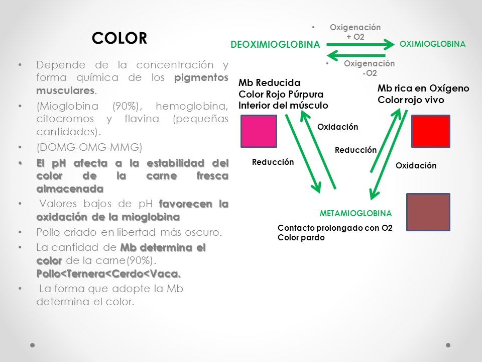 COLOR Oxigenación + O2. DEOXIMIOGLOBINA. OXIMIOGLOBINA. Depende de la concentración y forma química de los pigmentos musculares.