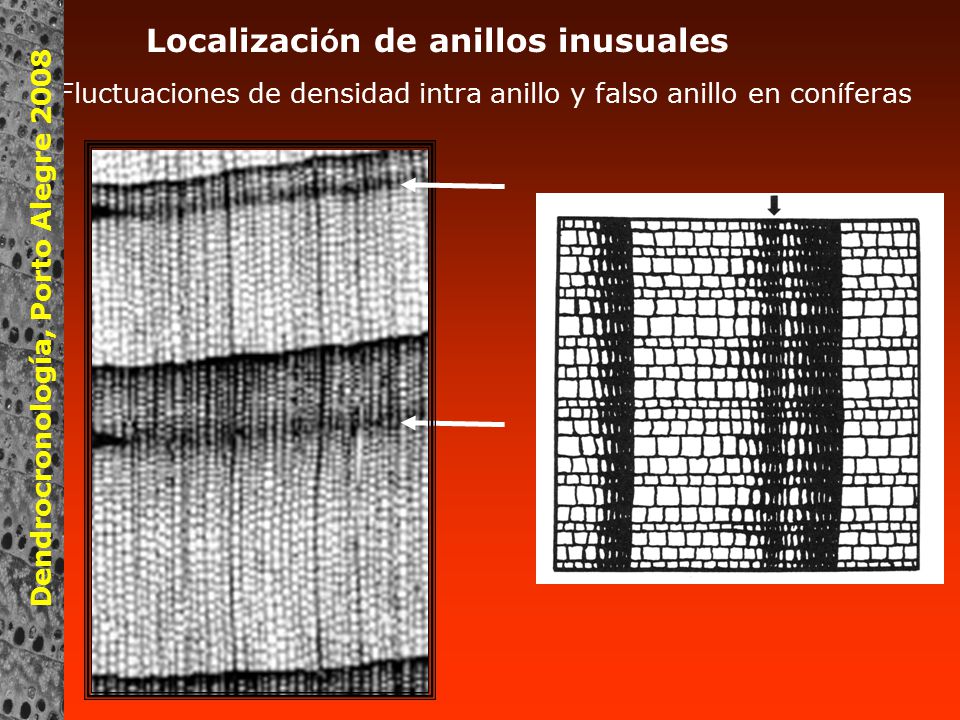 Localización de anillos inusuales
