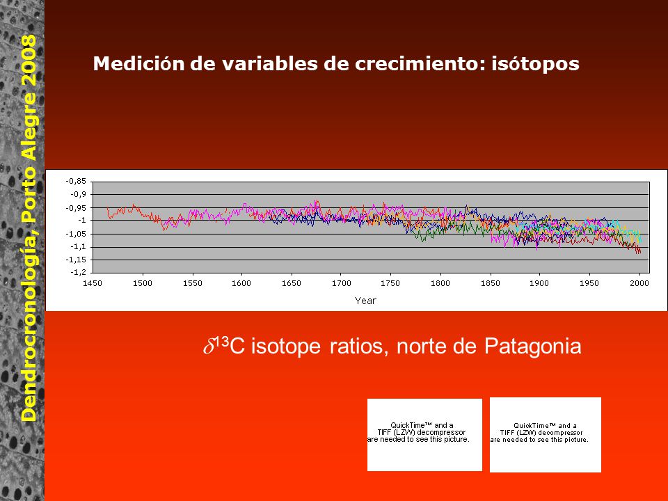 d13C isotope ratios, norte de Patagonia