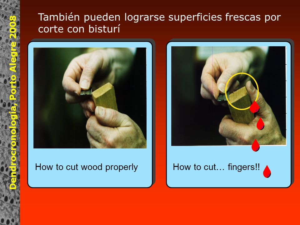 También pueden lograrse superficies frescas por corte con bisturí