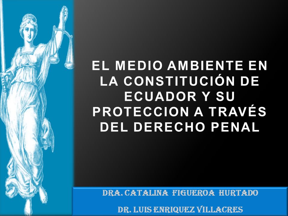 DRA. CATALINA FIGUEROA HURTADO DR. LUIS ENRIQUEZ VILLACRES
