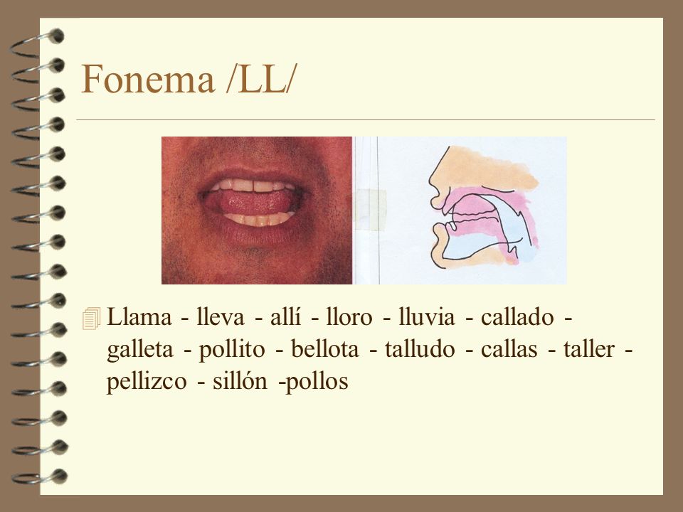 Fonema /LL/ Llama - lleva - allí - lloro - lluvia - callado - galleta - pollito - bellota - talludo - callas - taller - pellizco - sillón -pollos.