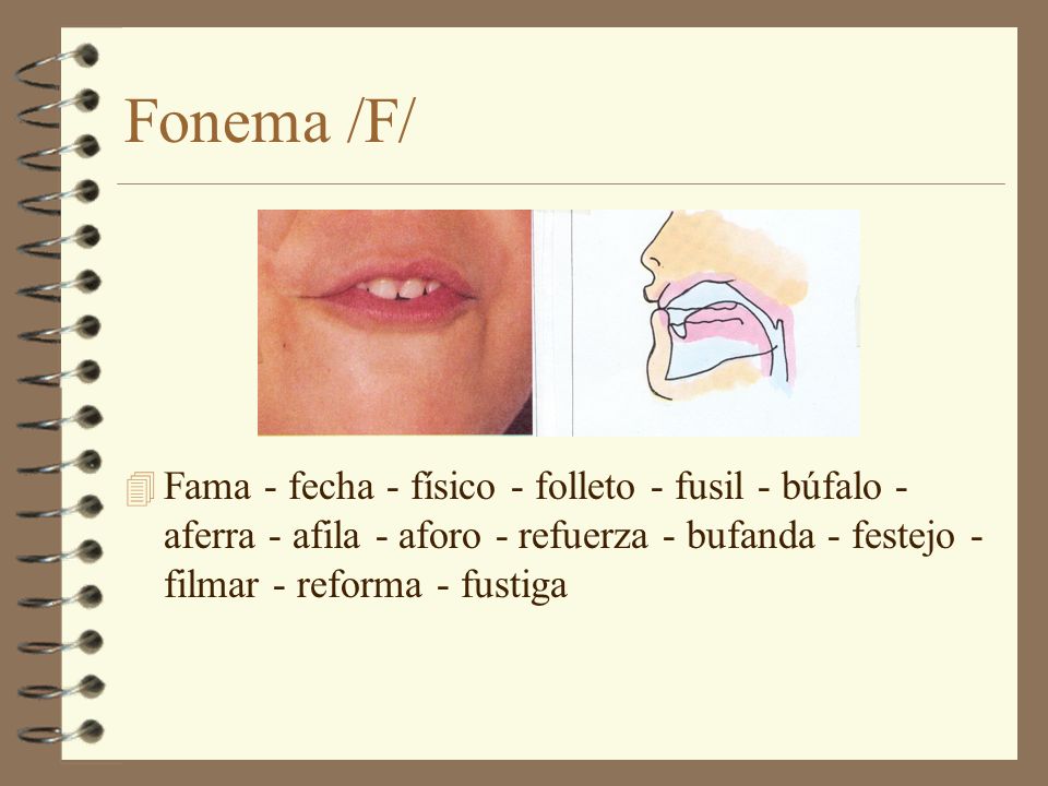 Fonema /F/ Fama - fecha - físico - folleto - fusil - búfalo - aferra - afila - aforo - refuerza - bufanda - festejo - filmar - reforma - fustiga.