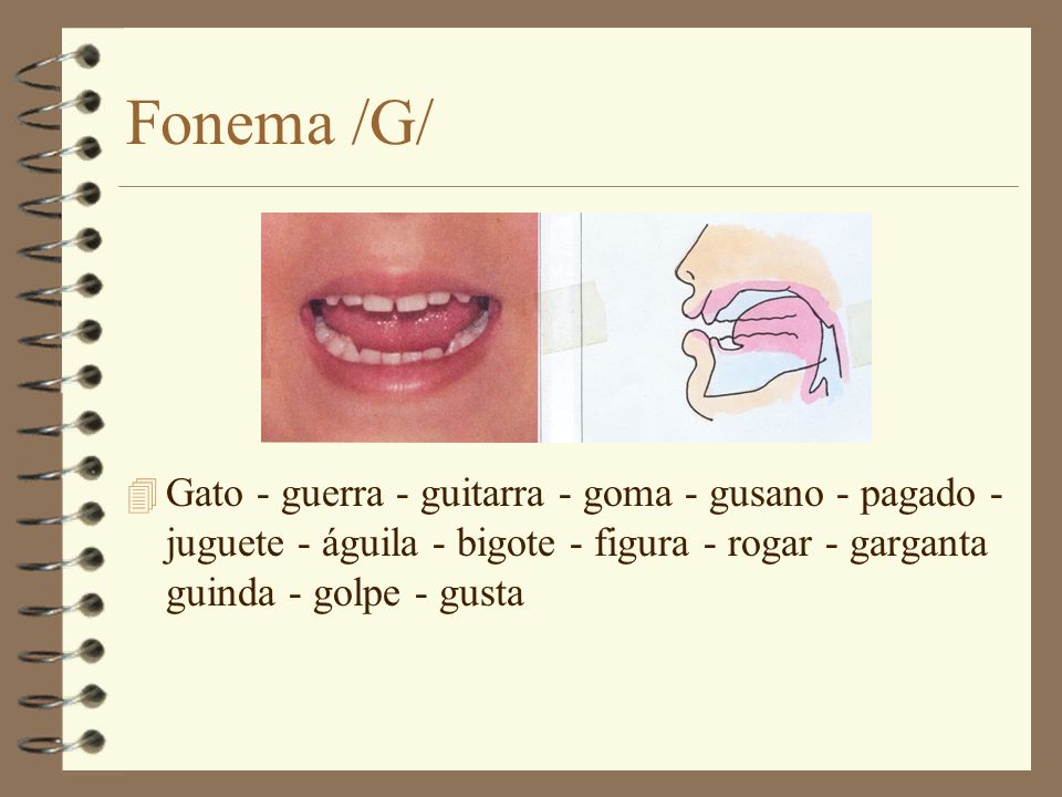 Fonema /G/ Gato - guerra - guitarra - goma - gusano - pagado - juguete - águila - bigote - figura - rogar - garganta guinda - golpe - gusta.