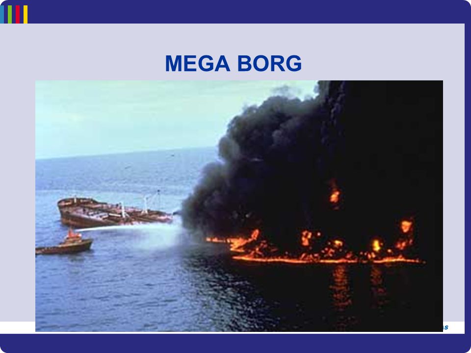 MEGA BORG