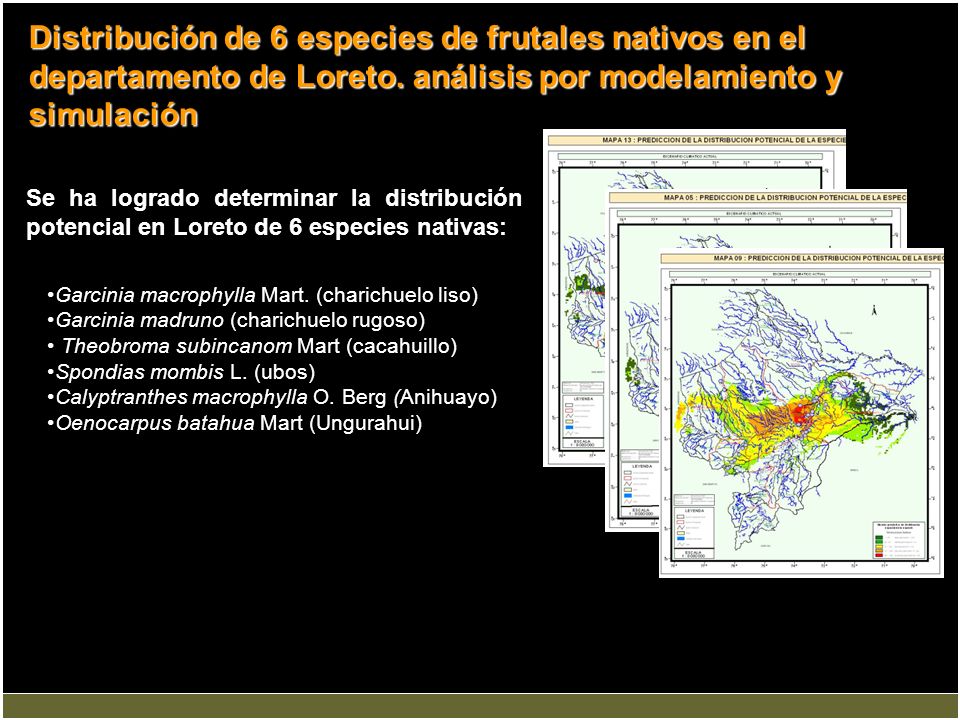Distribución de 6 especies de frutales nativos en el departamento de Loreto. análisis por modelamiento y simulación