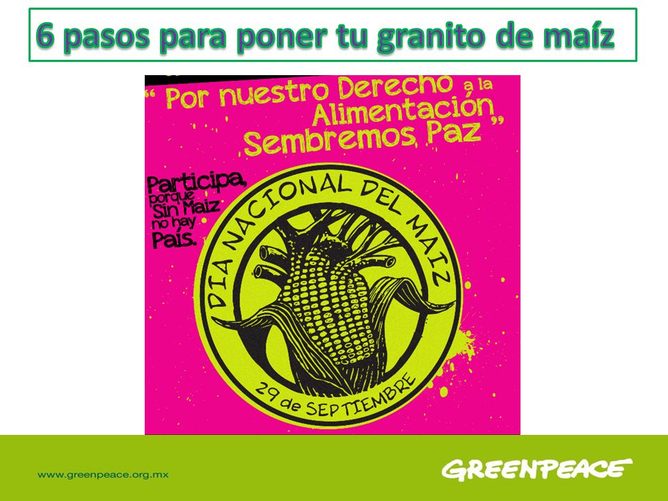 6 pasos para poner tu granito de maíz